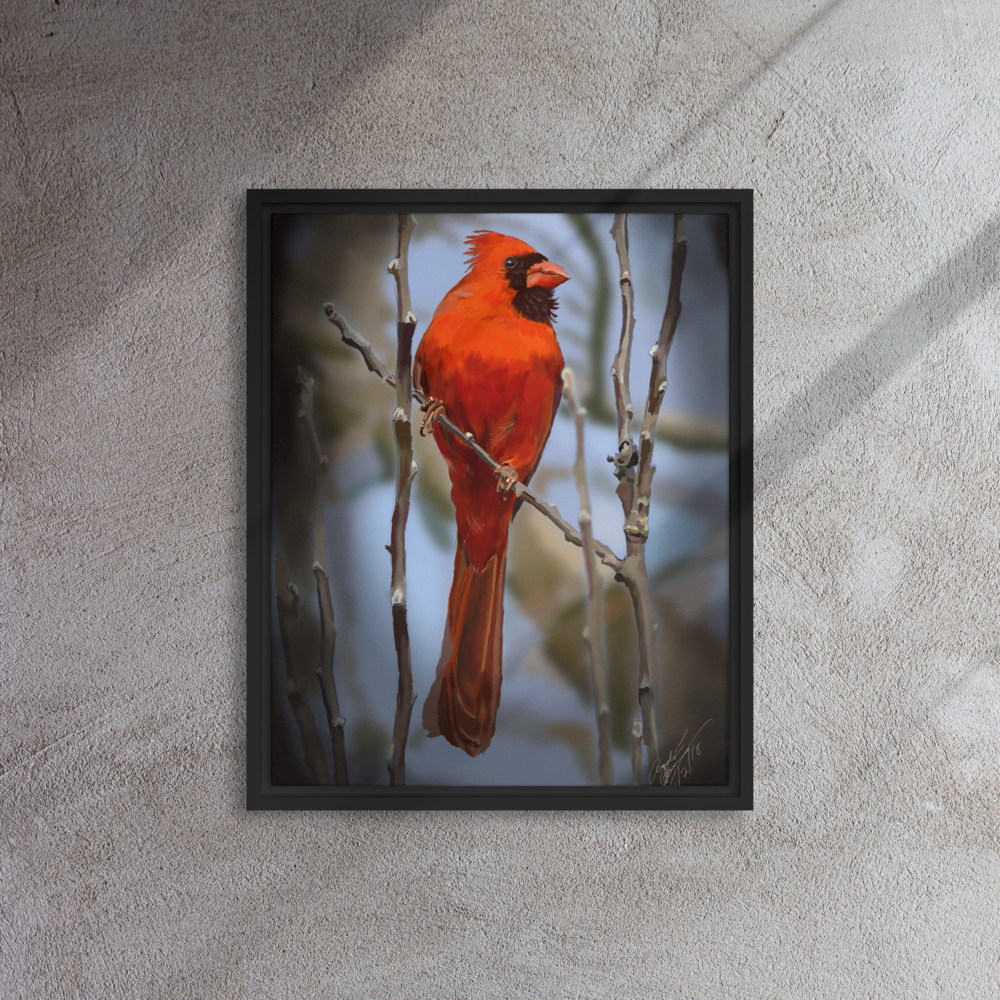 Proud Cardinal - Framed Canvas