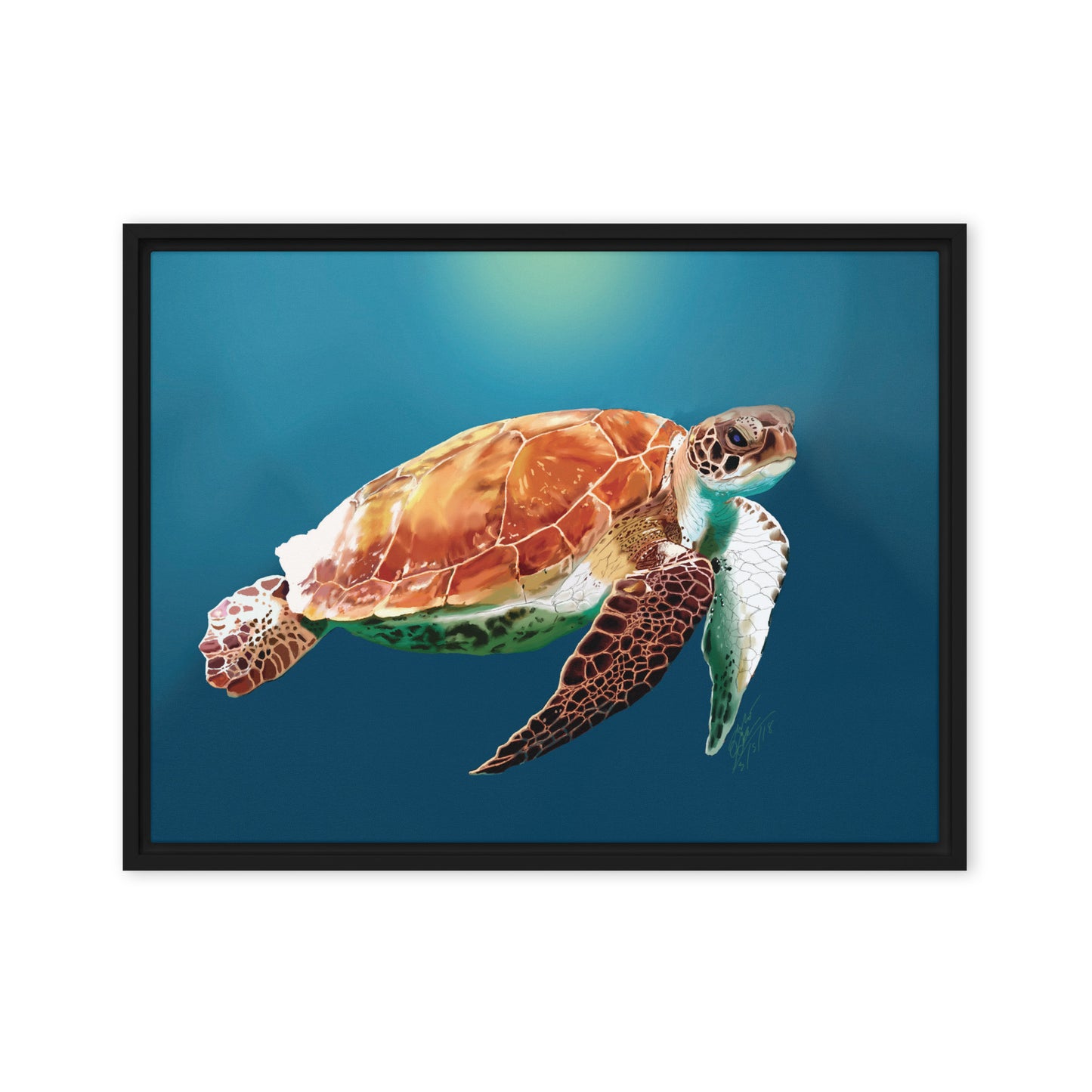 Sea Turtle In Peace - Framed Canvas