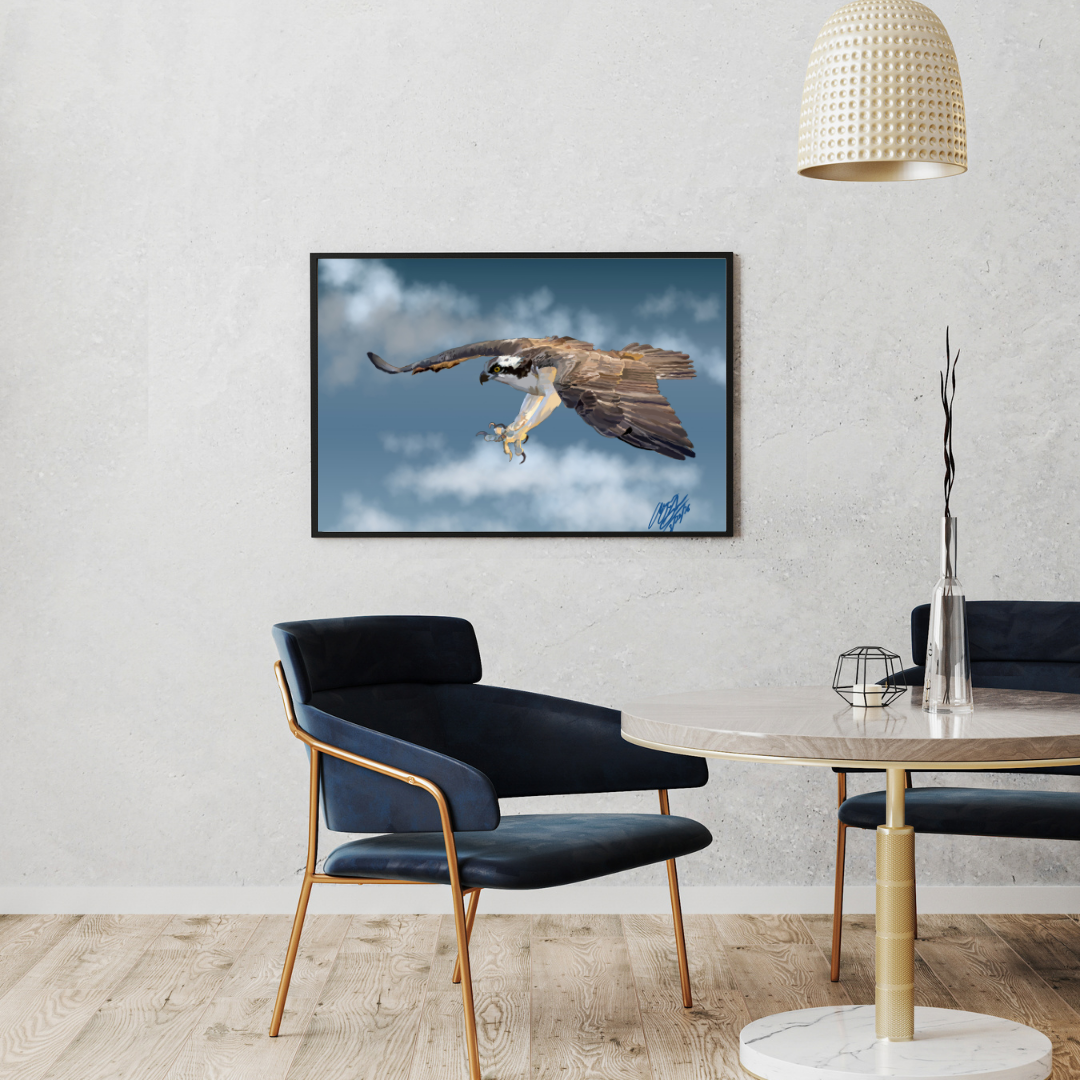 16 x 20 Framed Prints