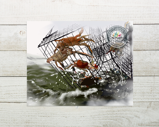 Another Day At Sea - 8 x 10 Open Edition Print