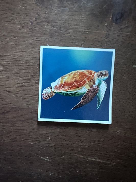 Sea Turtle In Peace - 2x2 Magnet