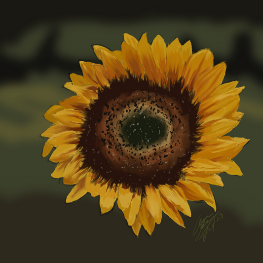 Sunflower - 3”X 3” Square Sticker