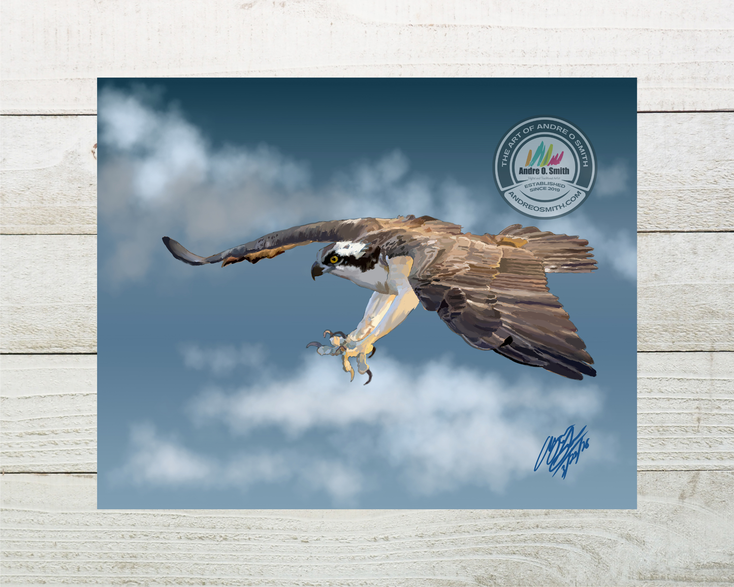 Osprey In The Hunt - 8 x 10 Open Edition Print