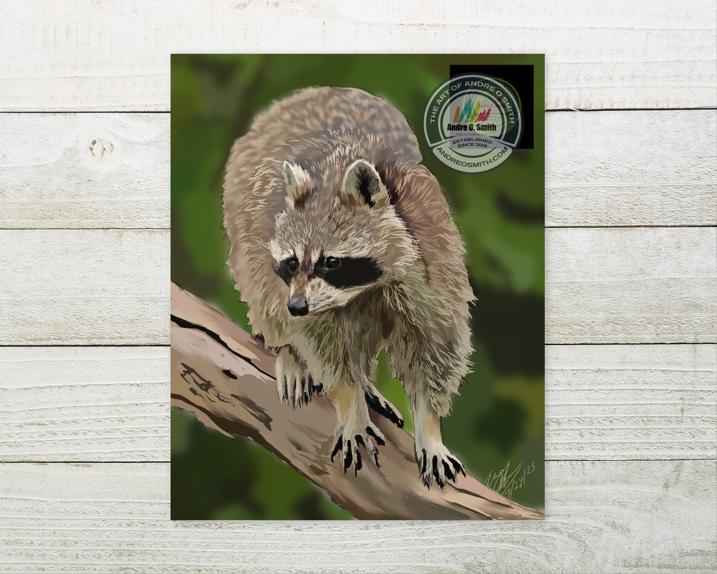 The Raccoon - 8 x 10 Open Edition Print
