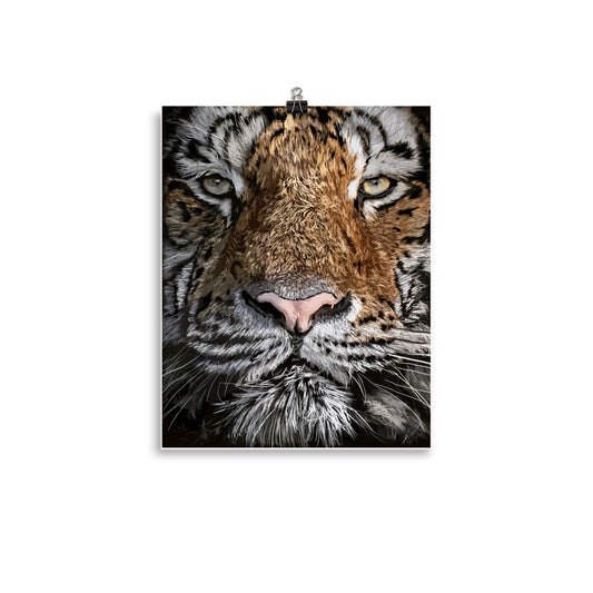 Tiger No. 2 - Open Edition Print