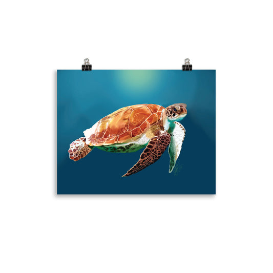 Sea Turtle In Peace - Open Edition Prints
