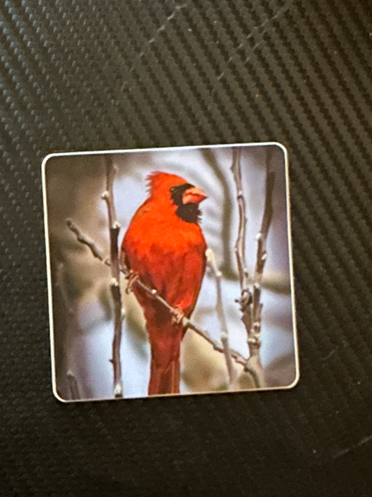 Proud Cardinal - 3” Square Stickers